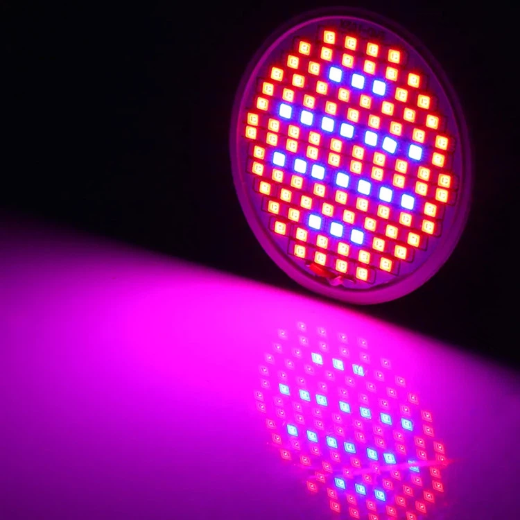 10W Par 30 LED grow bulb for indoor plants 2 10W Par 30 LED grow bulb for indoor plants 2