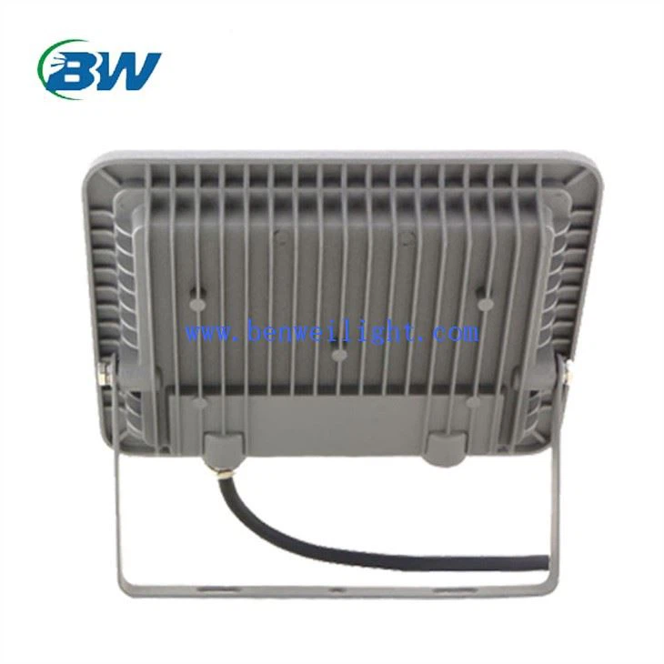 50 вата наводнение