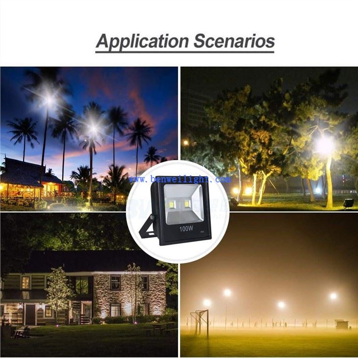 floodlight 100w
