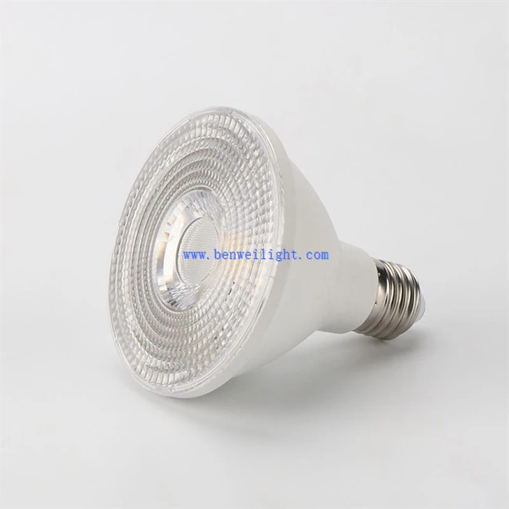 LED крушки PAR30 E26