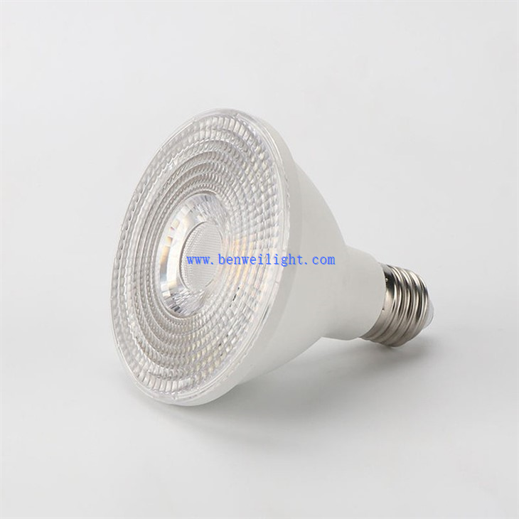 par30 light bulb