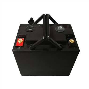 12v 100ah литиево-желязо-фосфатна батерия