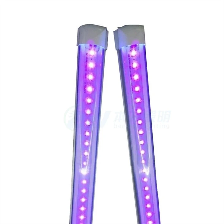 UV-C светлината убива микробите