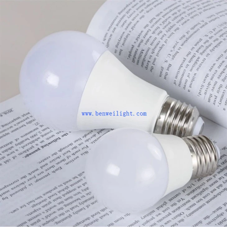 E27 Indoor Bulb (4)
