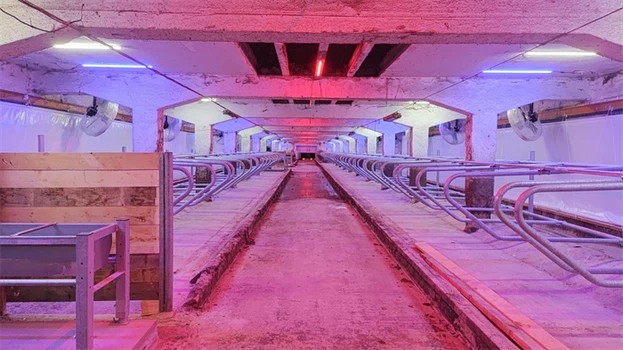 info-700-393 info-700-393