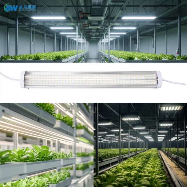 T20 Димируем зеленчуков Led Grow Linear Linkable IP65 Light 20-88W